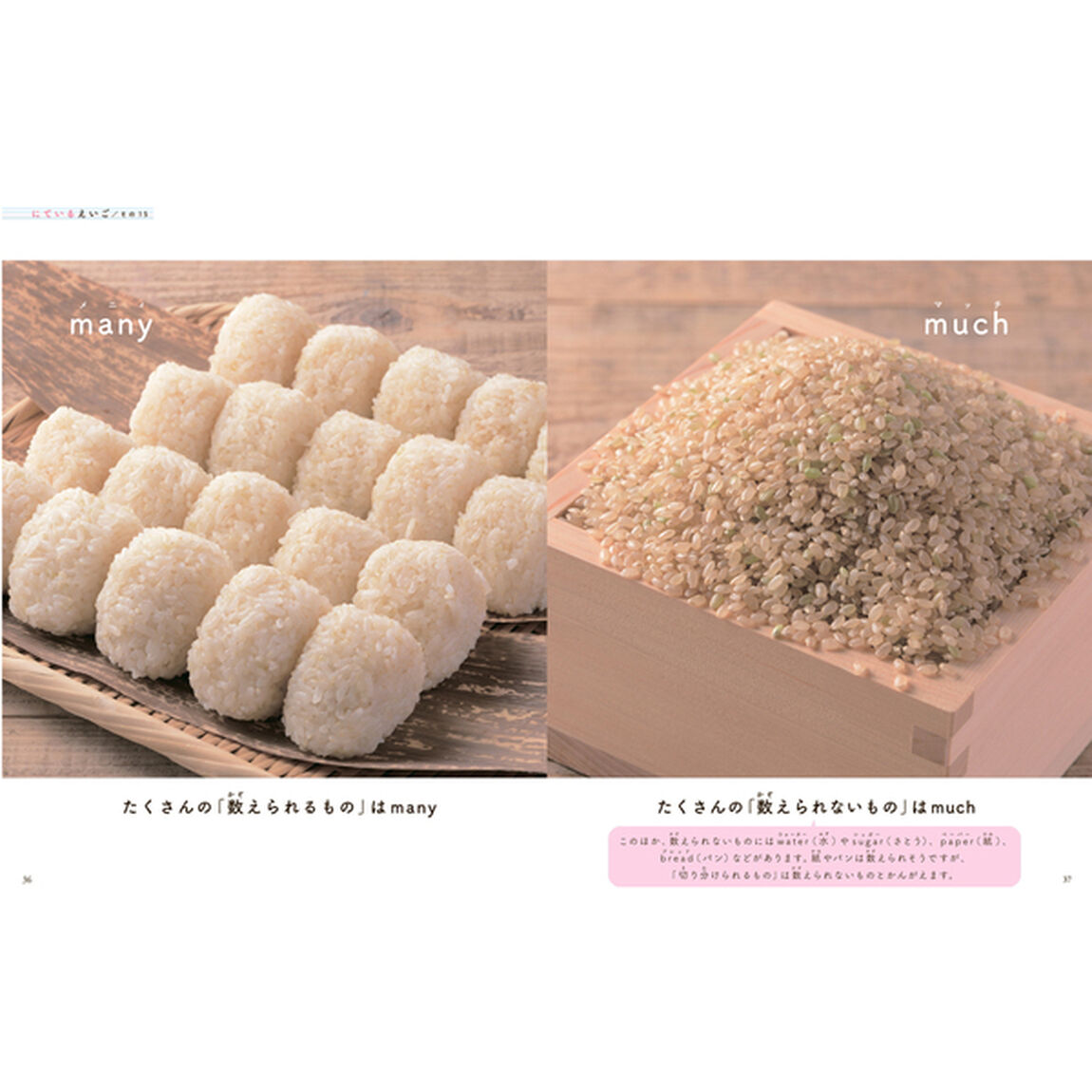 目でみるえいごのずかん