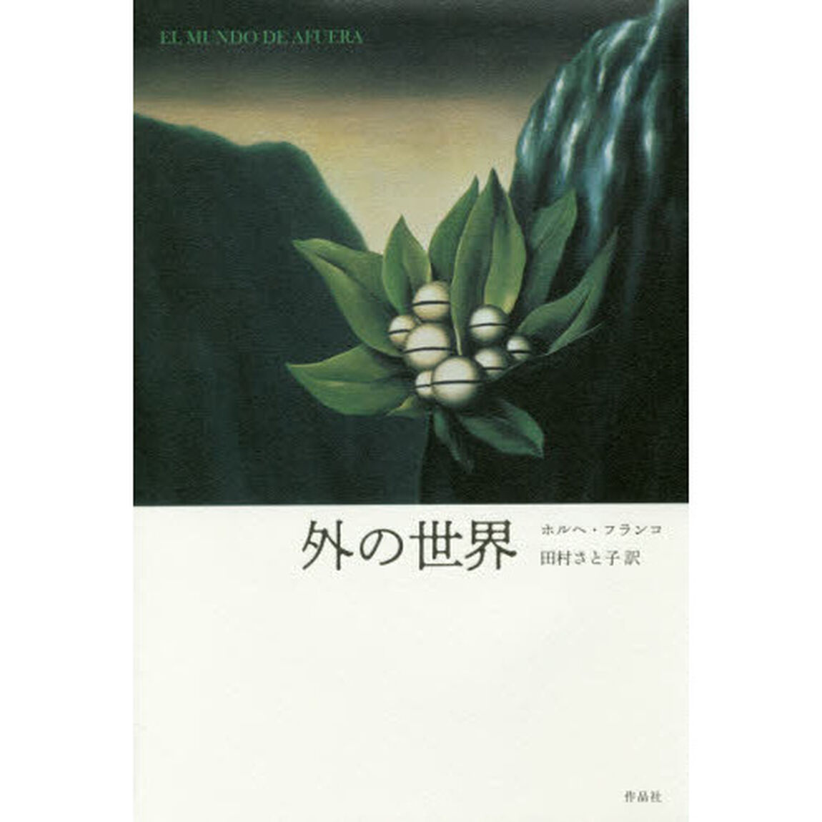 外の世界