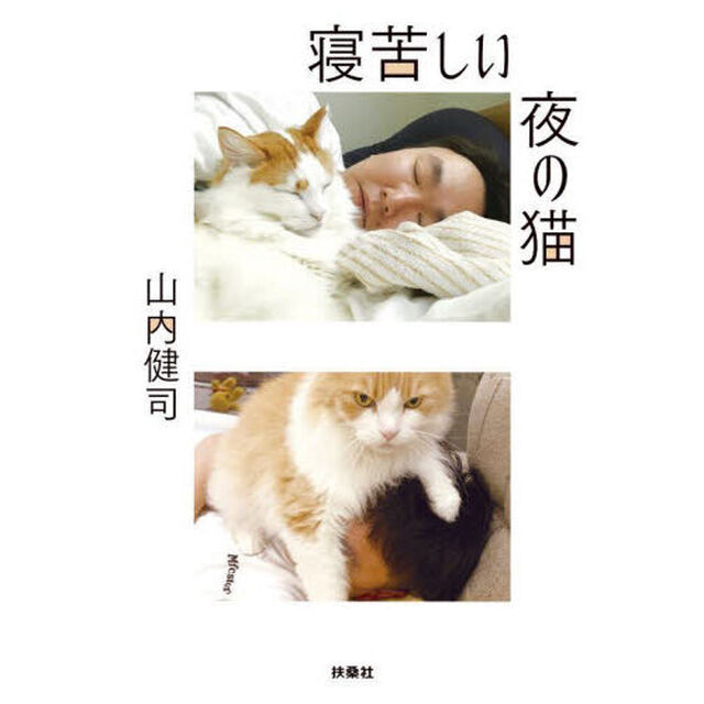 寝苦しい夜の猫