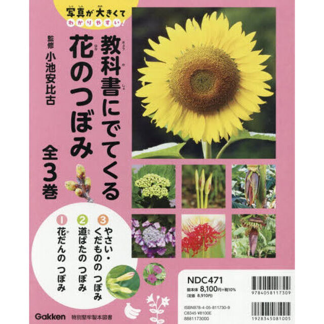教科書にでてくる花のつぼみ　写真が大きくてわかりやすい！　３巻セット