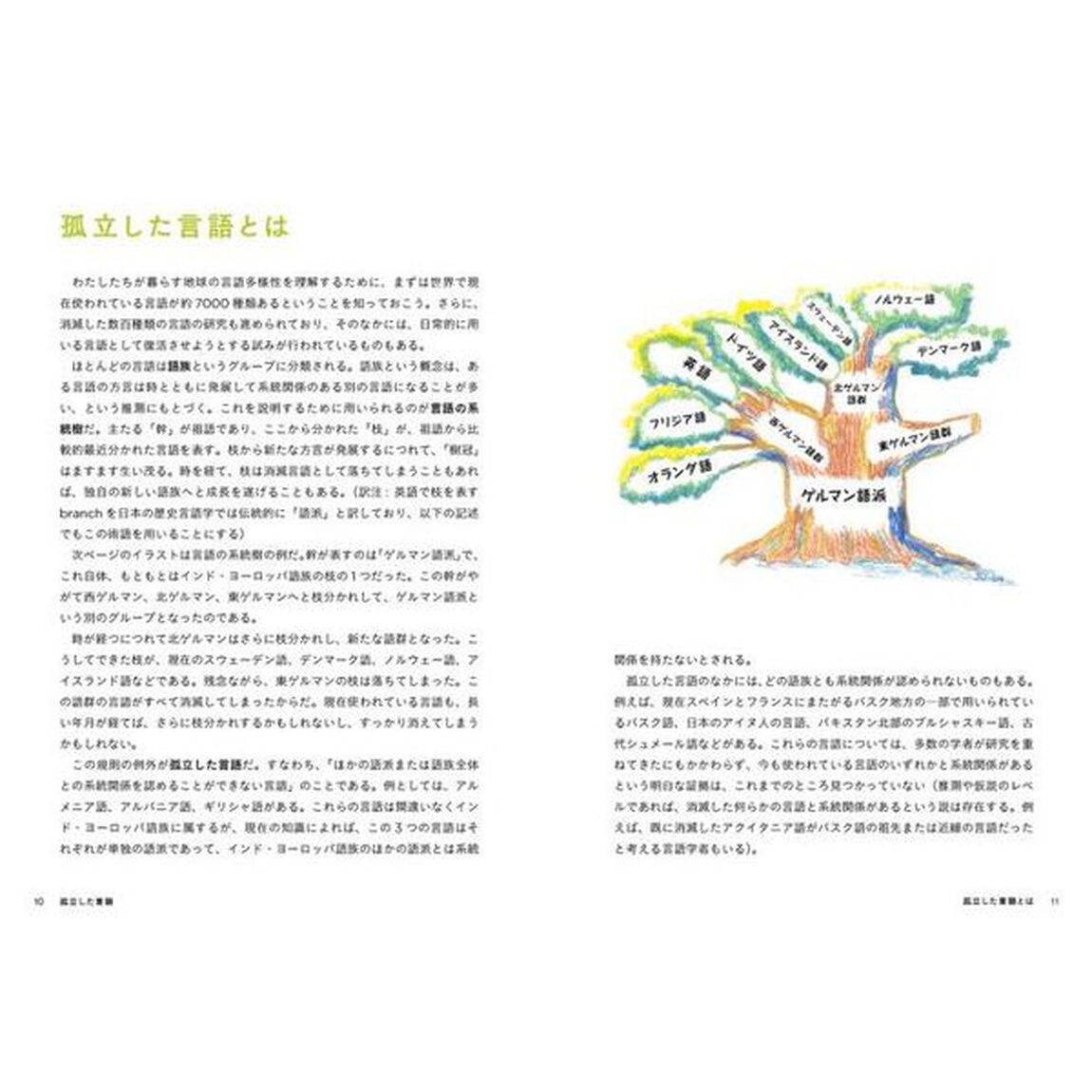 あなたの知らない、世界の希少言語　世界６大陸、１００言語を全力調査！