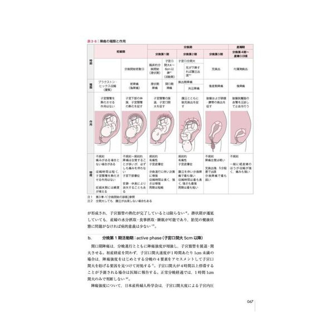 助産師基礎教育テキスト 2024年版 第5巻 分娩期の診断とケア