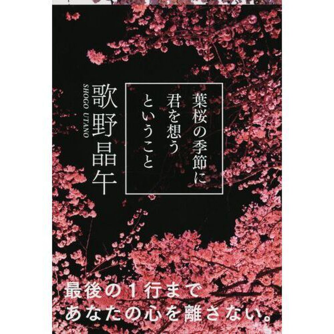 葉桜の季節に君を想うということ
