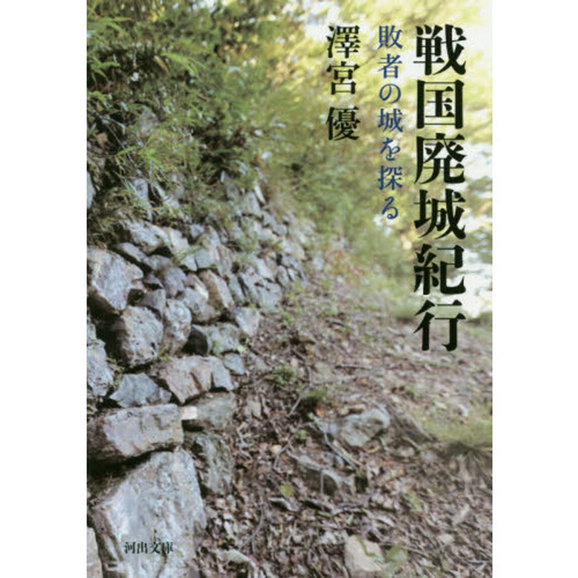 戦国廃城紀行　敗者の城を探る