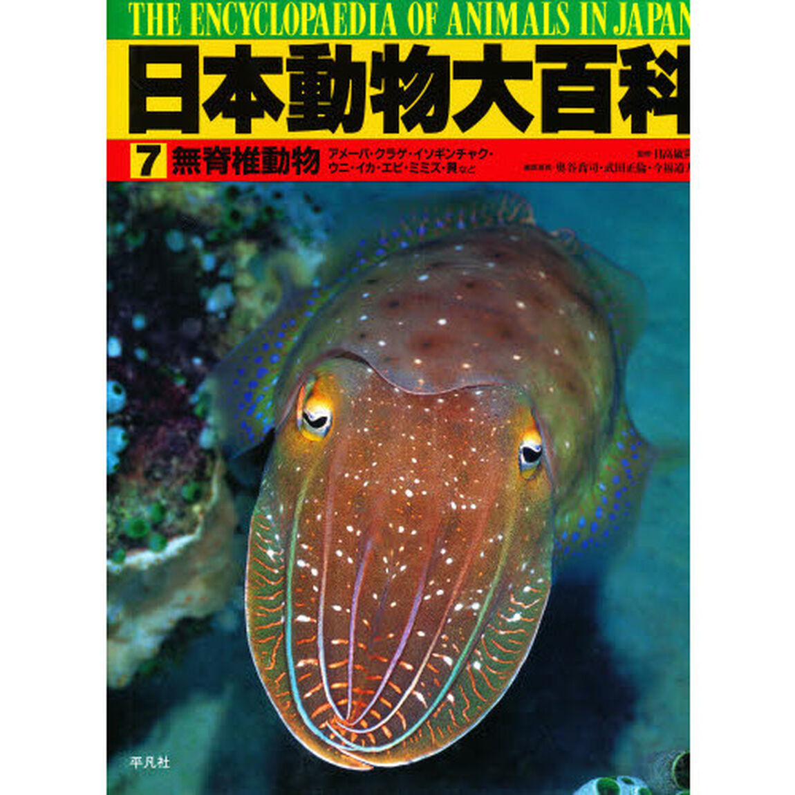 日本動物大百科　７「無脊椎動物」