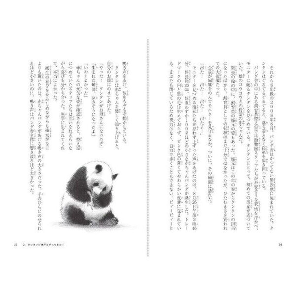 パンダのタンタン　二人の飼育員との約束