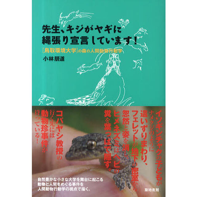 先生、キジがヤギに縄張り宣言しています！