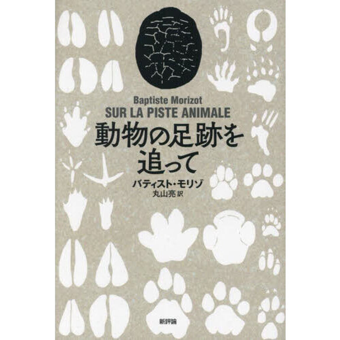 動物の足跡を追って
