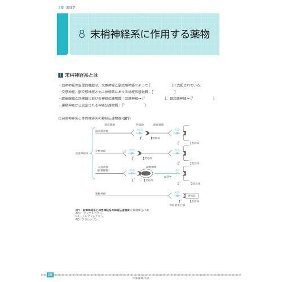 歯科衛生士書き込み式学習ノート　２０２３年度１「専門基礎科目編　人体の構造と機能／歯・口腔の構造と機能／疾病の成り立ち及び回復過程の促進」