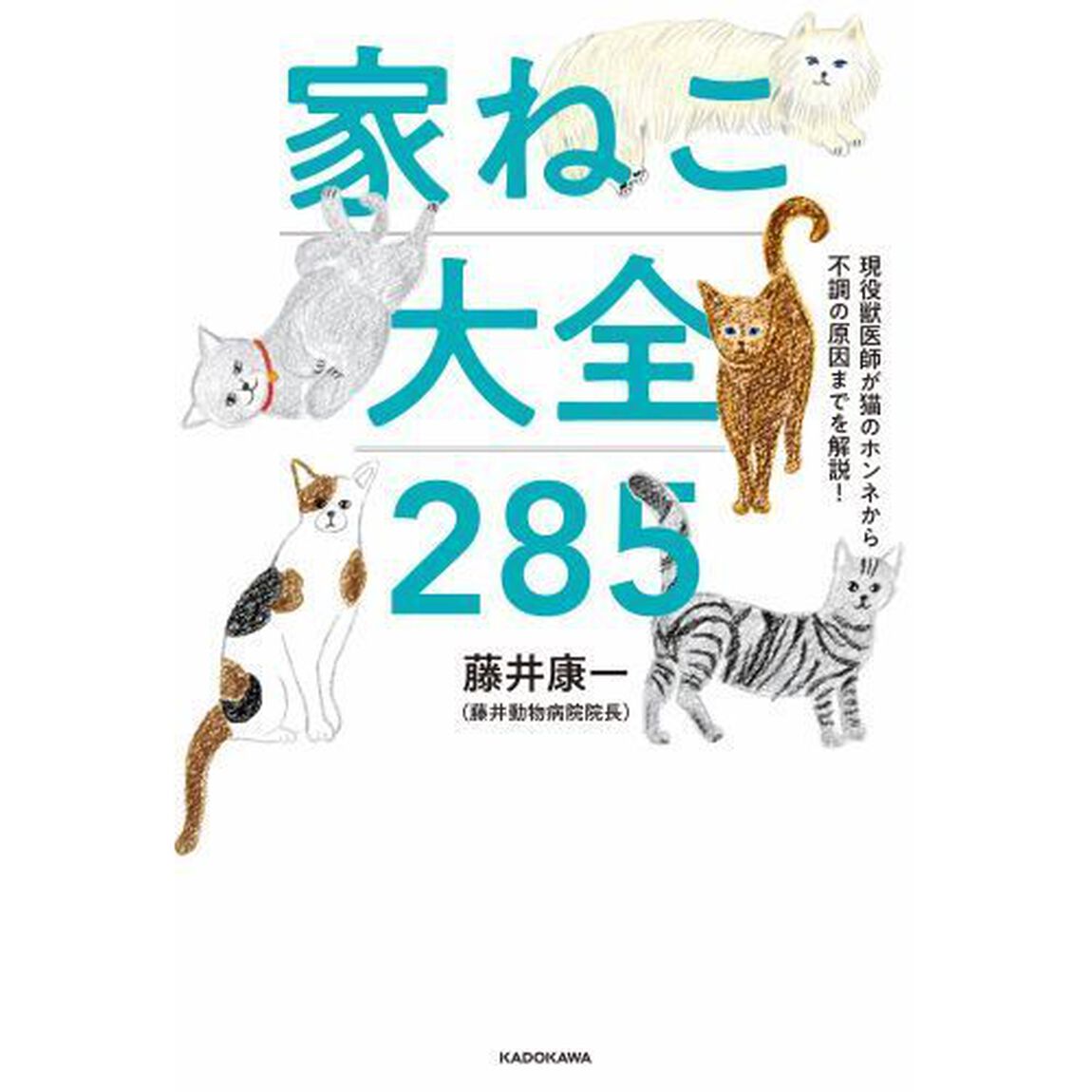 家ねこ大全２８５　現役獣医師が猫のホンネから不調の原因までを解説！