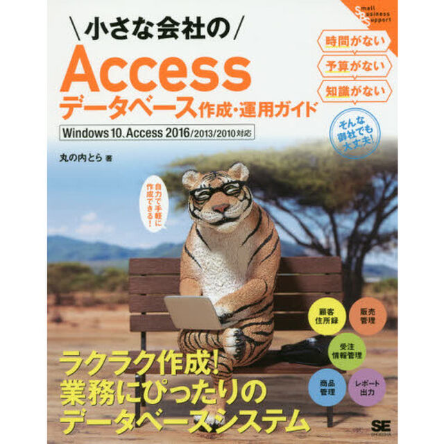 小さな会社のＡｃｃｅｓｓデータベース作成・運用ガイド　自力で手軽に作成できる！