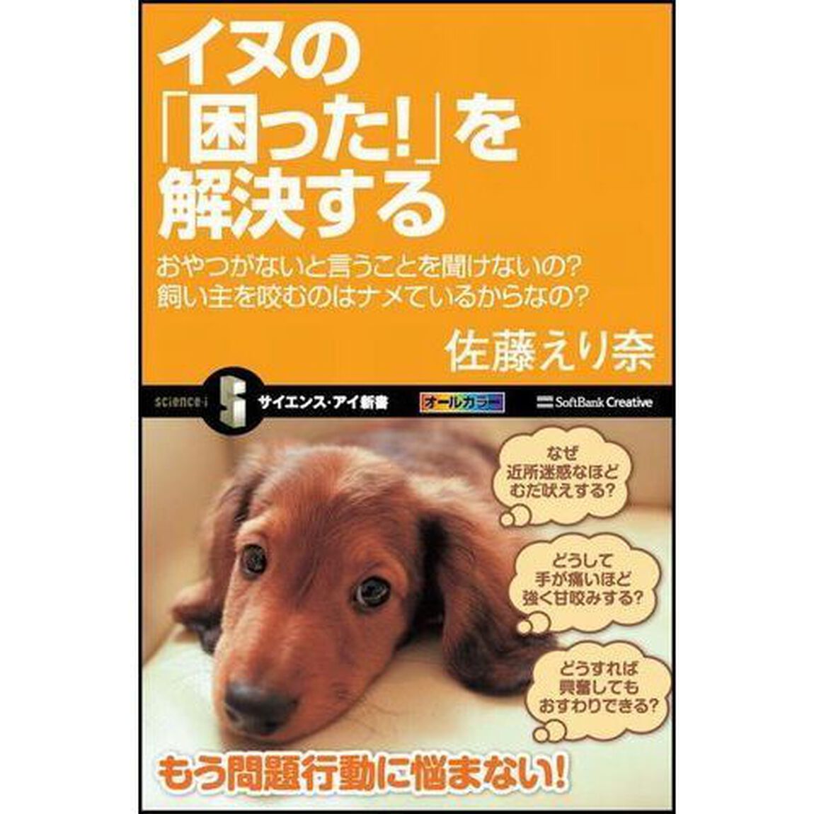 イヌの「困った！」を解決する　おやつがないと言うことを聞けないの？飼い主を咬むのはナメているからなの？
