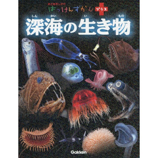 深海の生き物