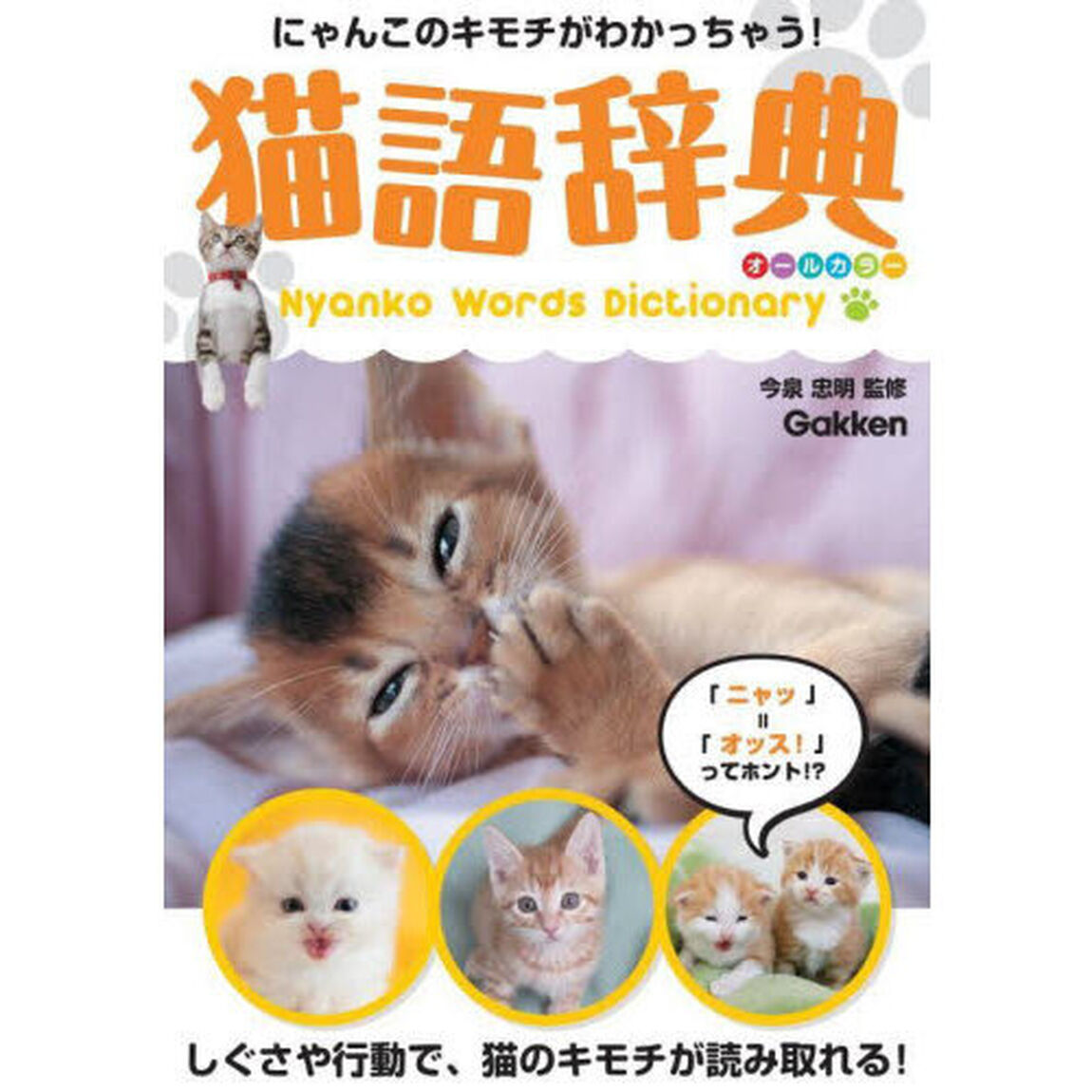 猫語辞典　にゃんこのキモチがわかっちゃう！