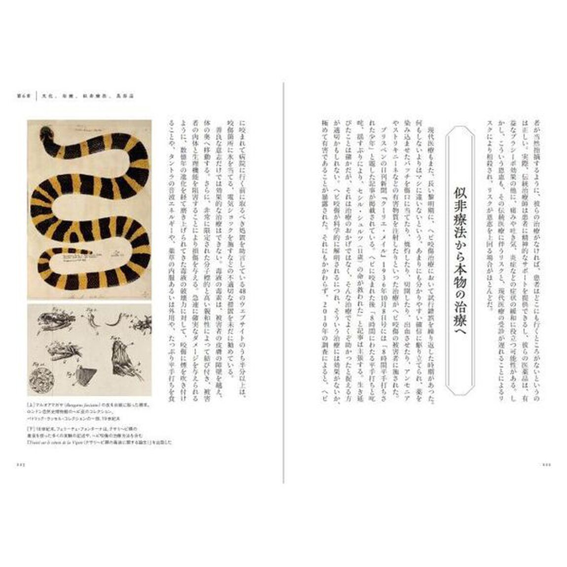 大英自然史博物館の猛毒の生きもの