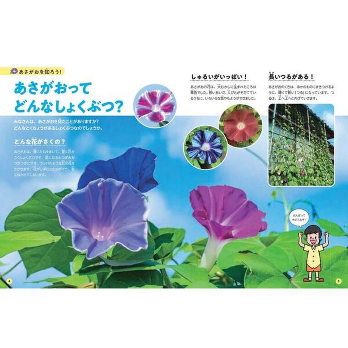 あさがおずかん