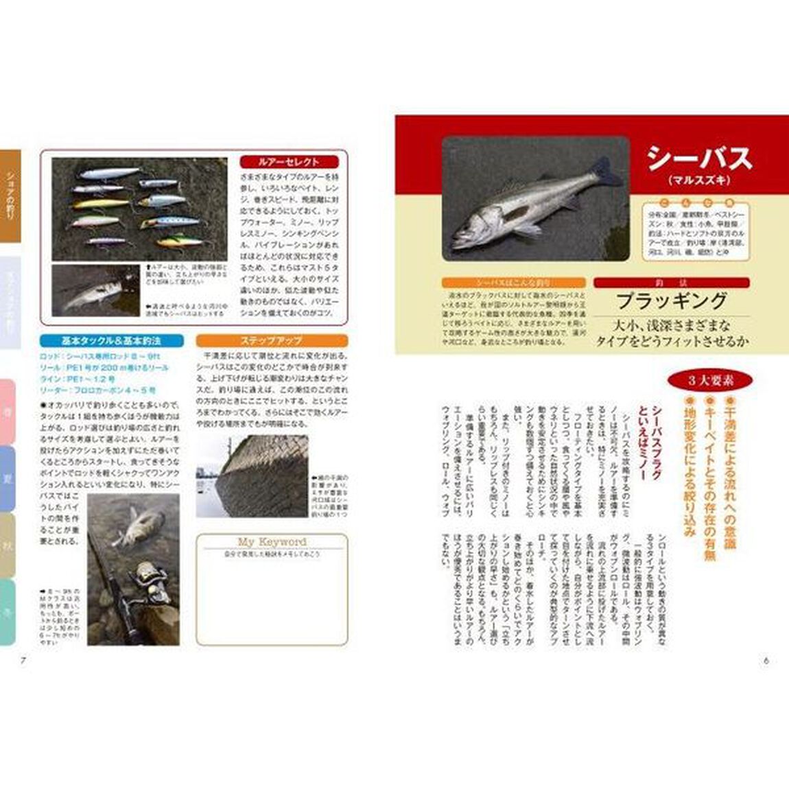 ルアーフィッシングレッドオーシャン戦略　基本を知り、応用を知れば百戦危うからず　シーバス、タチウオ、アオリイカなど激戦の人気ターゲットを中心に釣果直結の基本とキモを詳解！