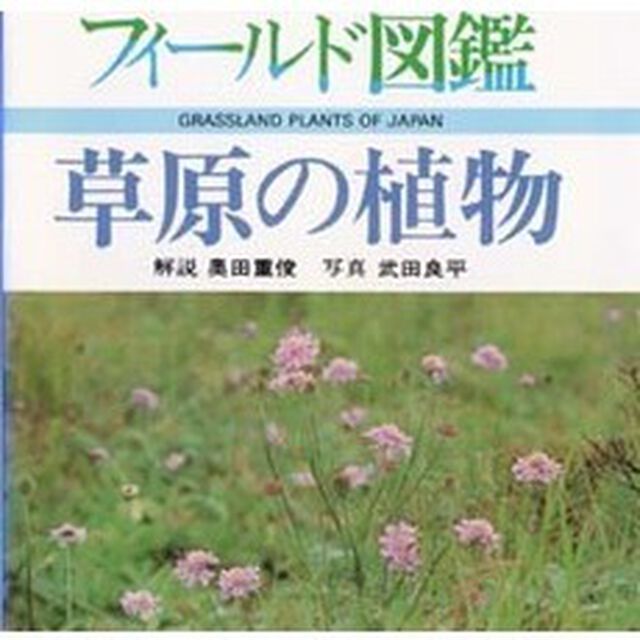 草原の植物