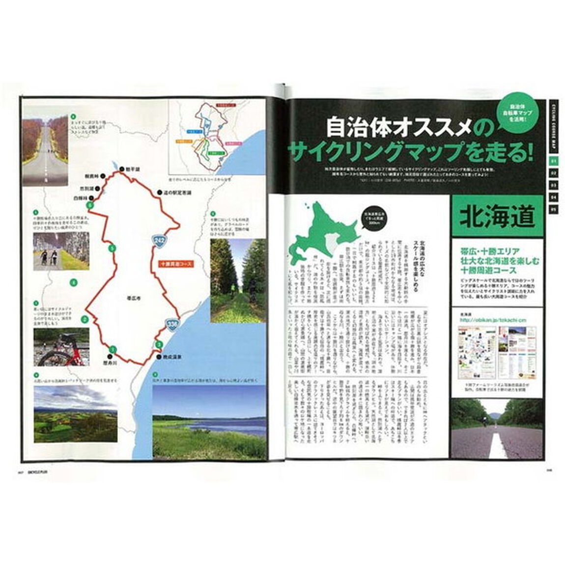 ＢＩＣＹＣＬＥ　ＰＬＵＳ　Ｖｏｌ．２１「人気ツーリングコースガイド」