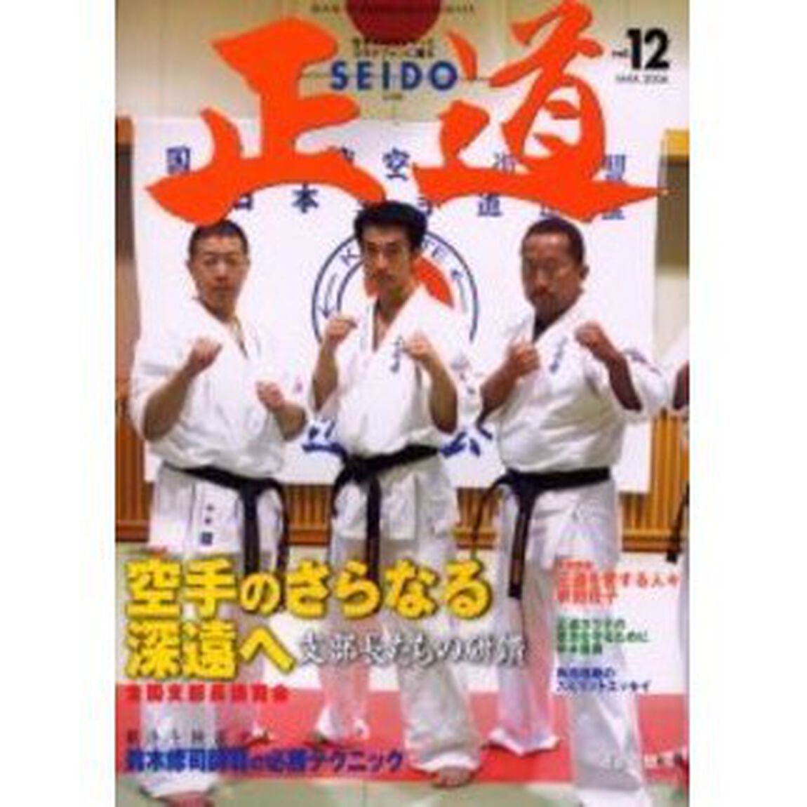 正道　世界のカラテマンとカラテファンに贈る　Ｖｏｌ．１２「空手のさらなる深遠へ　支部長たちの研鑽　全国支部長講習会」