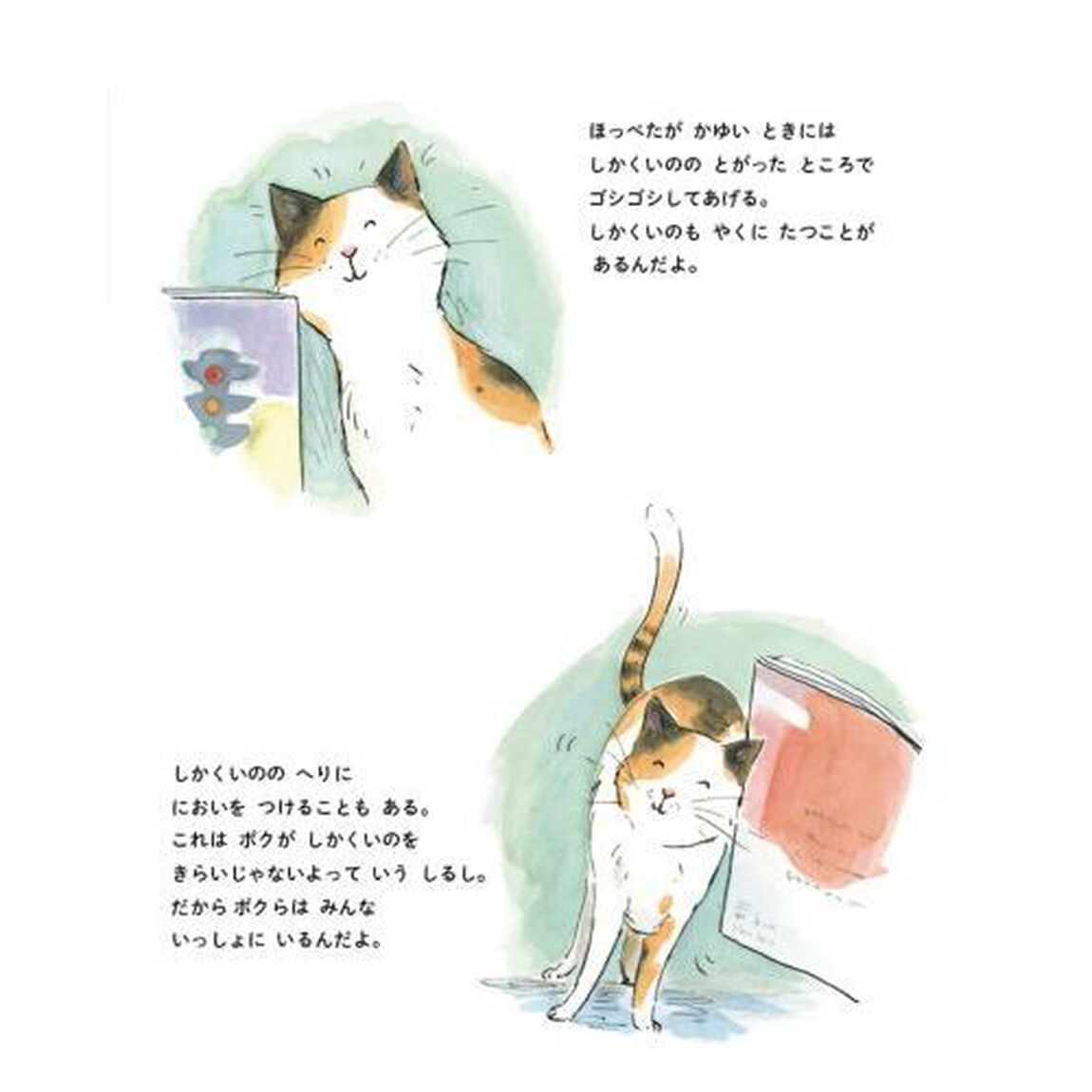 しかくいののじかん