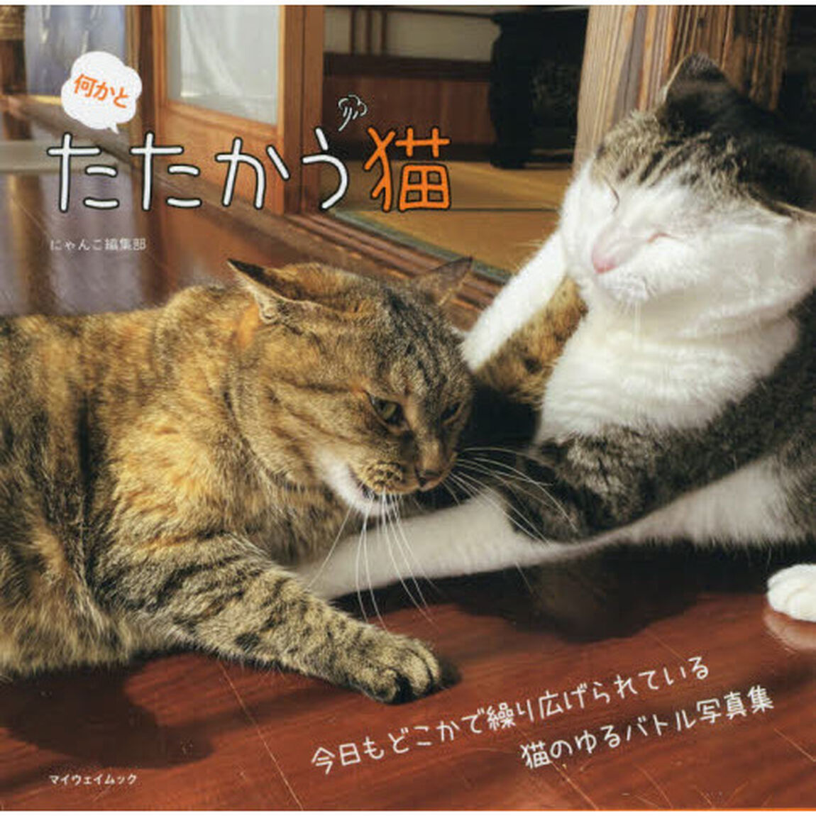 何かとたたかう猫