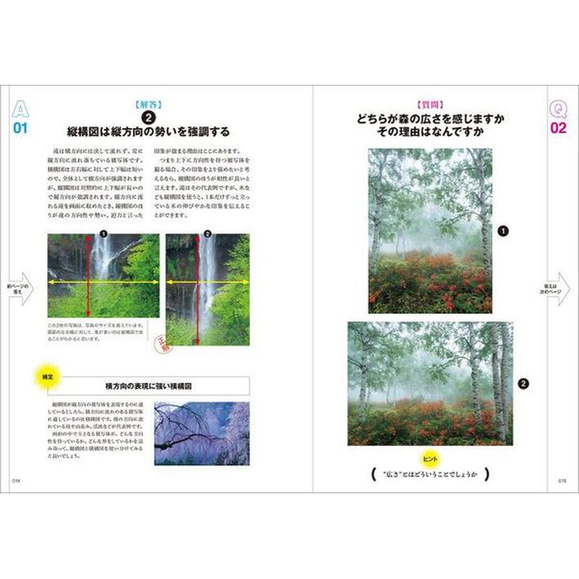 風景写真まるわかり教室　Ｑ＆Ａ　写真を選んで答えを考えるだけで上達！