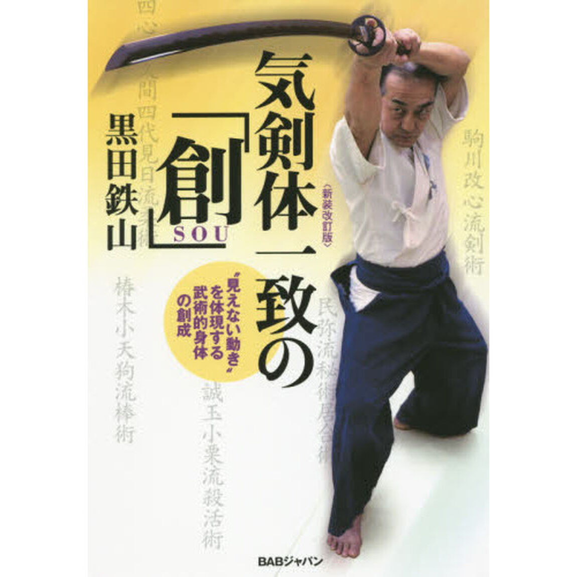 気剣体一致の「創」　&ldquo;見えない動き&rdquo;を体現する武術的身体の創成「新装改訂版」