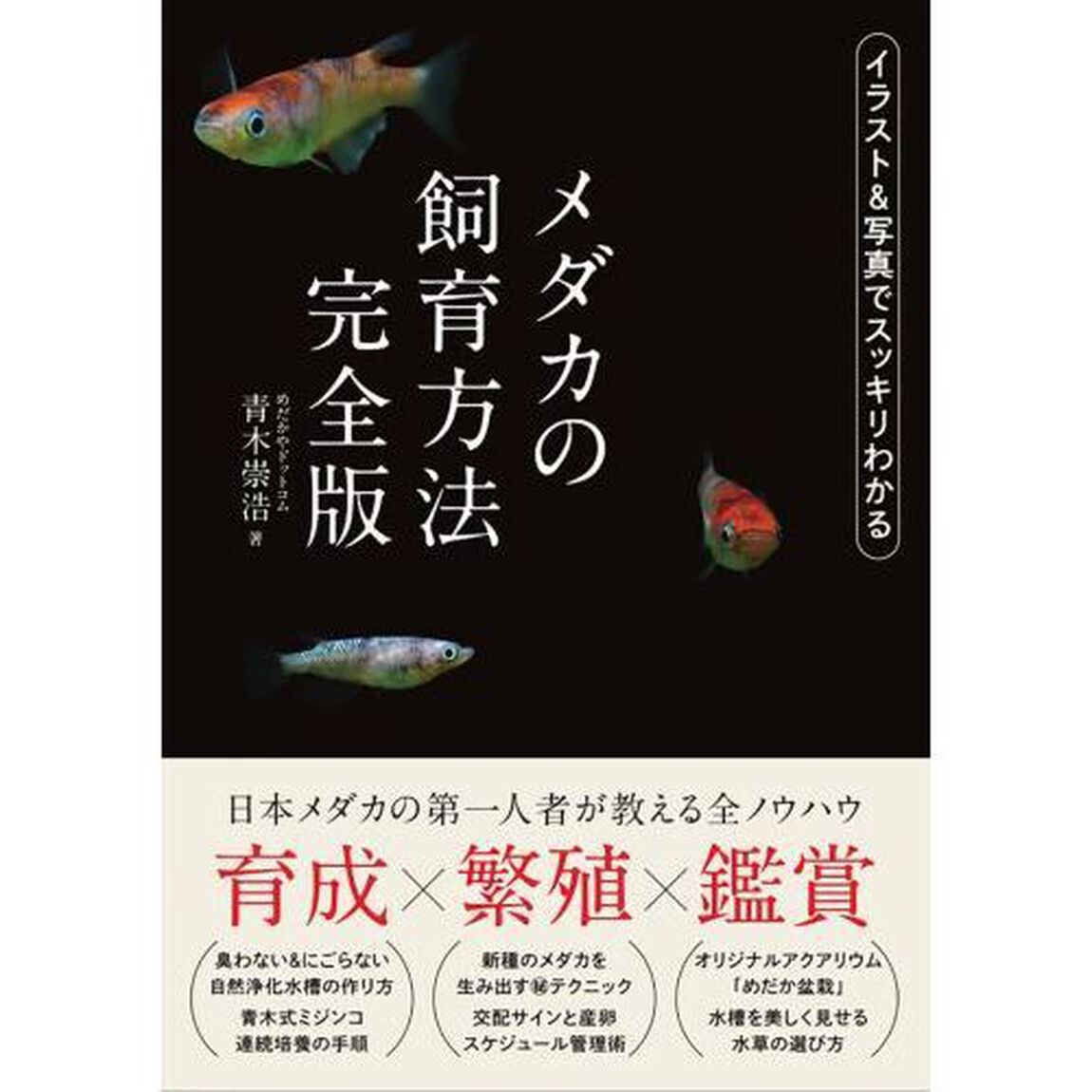 メダカの飼育方法　完全版