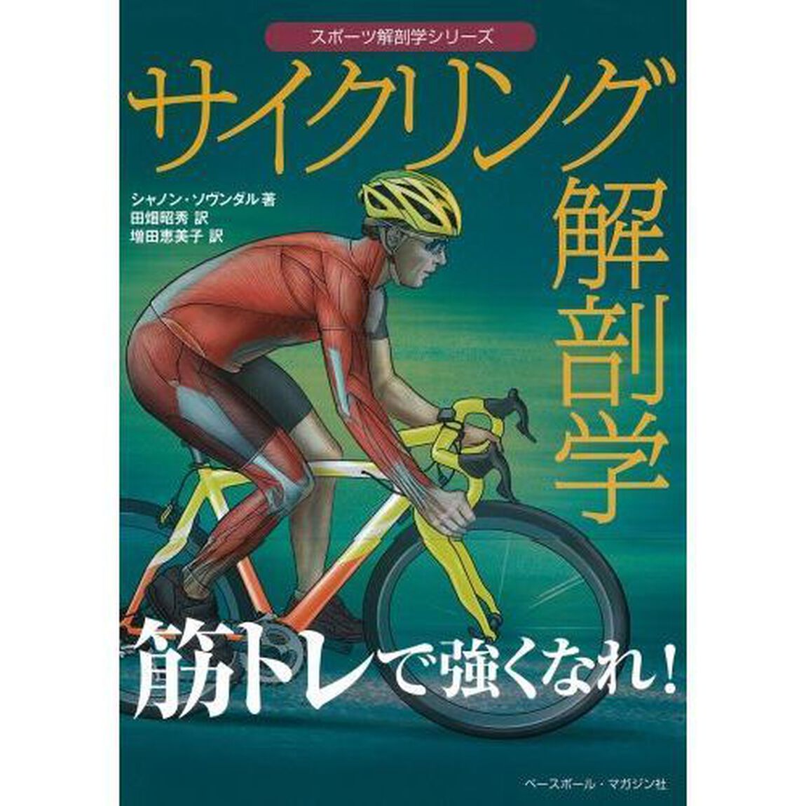 サイクリング解剖学