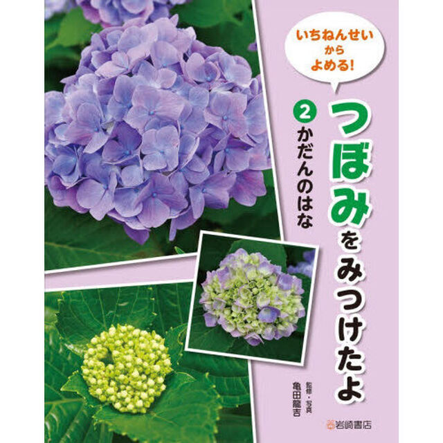 いちねんせいからよめる！つぼみをみつけたよ　２「かだんのはな」