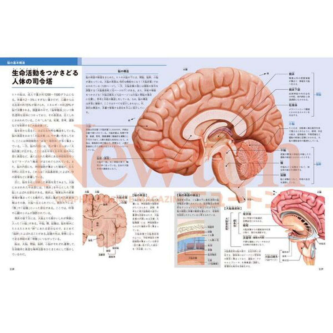 人体完全ガイド　ヒトの体の「しくみ」と「はたらき」がよくわかる！「改訂第４版」