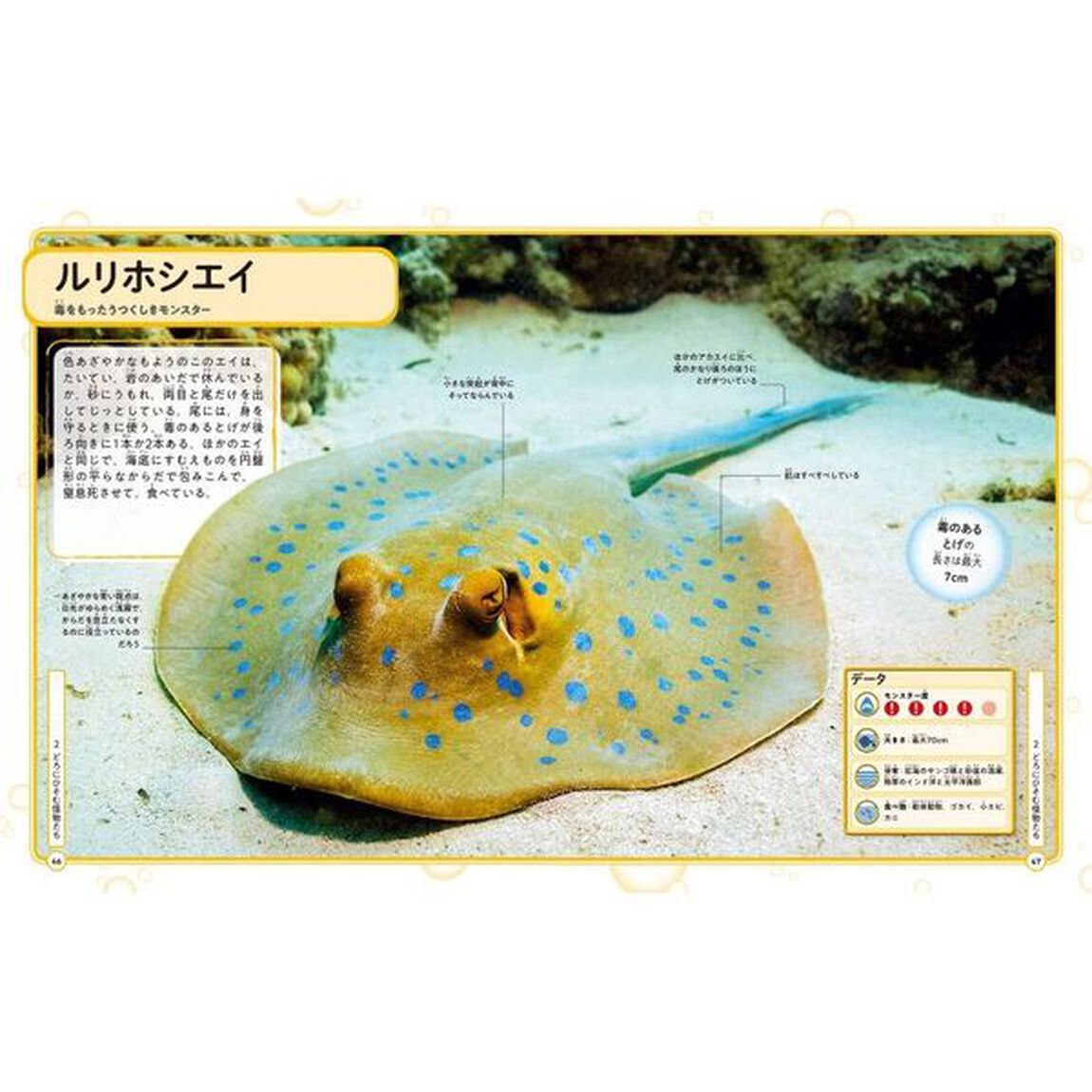 最強サメと海の危険生物大図鑑