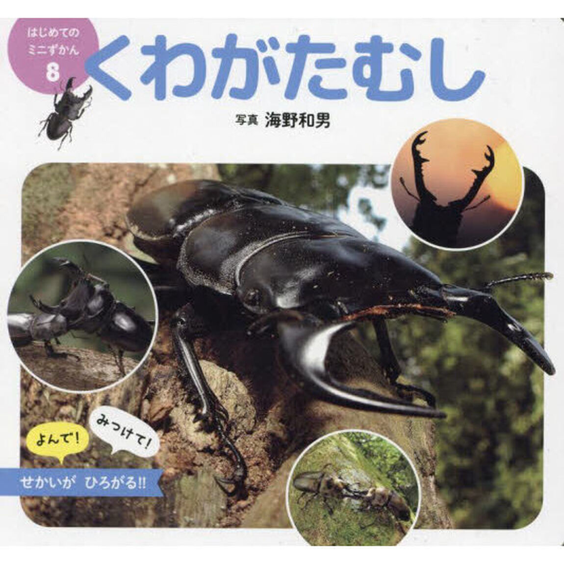 くわがたむし