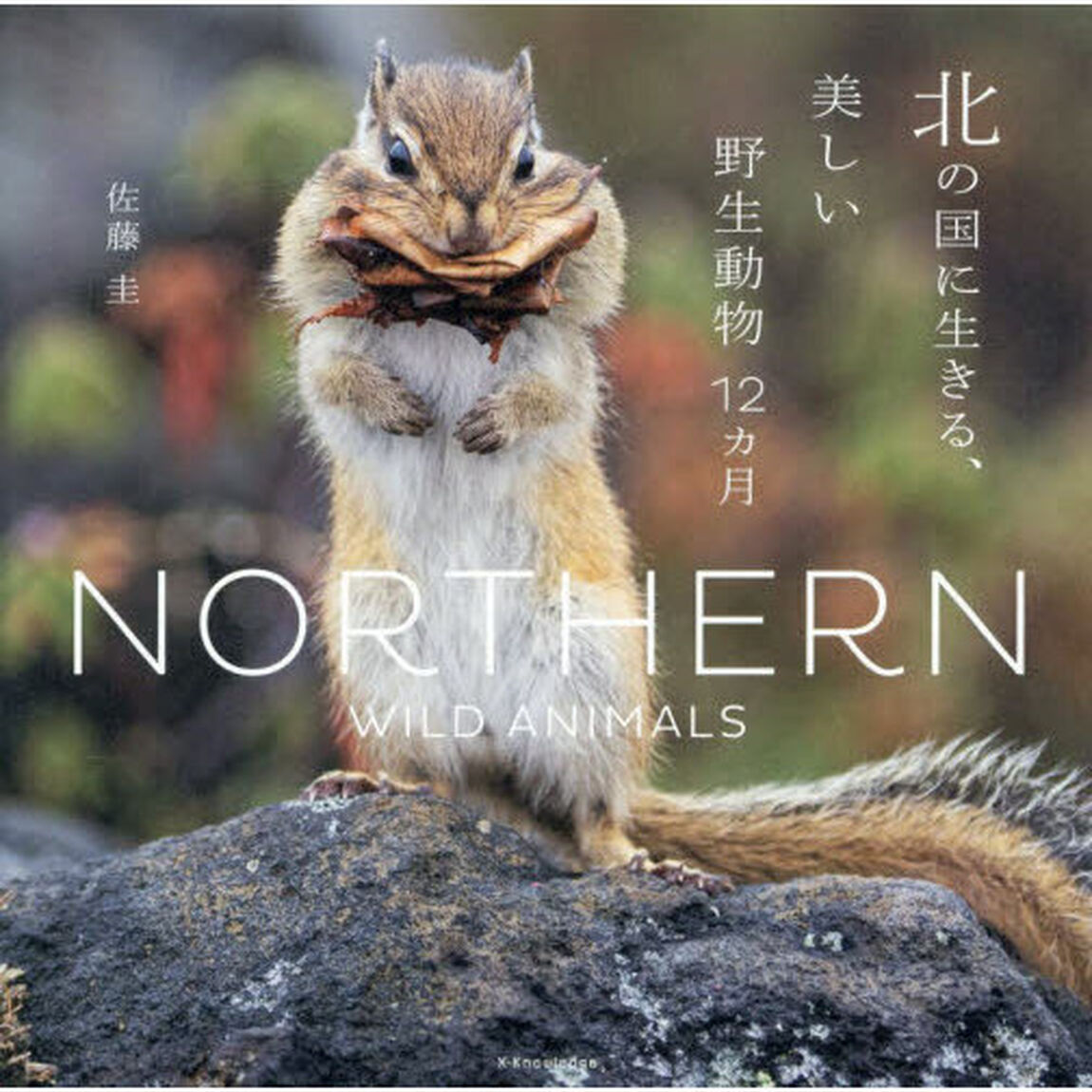 北の国に生きる、美しい野生動物１２カ月