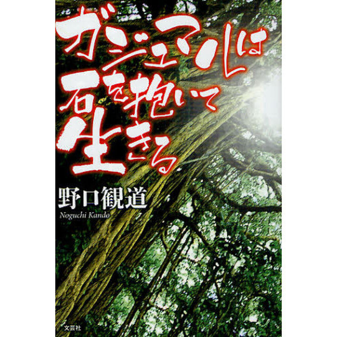 ガジュマルは石を抱いて生きる