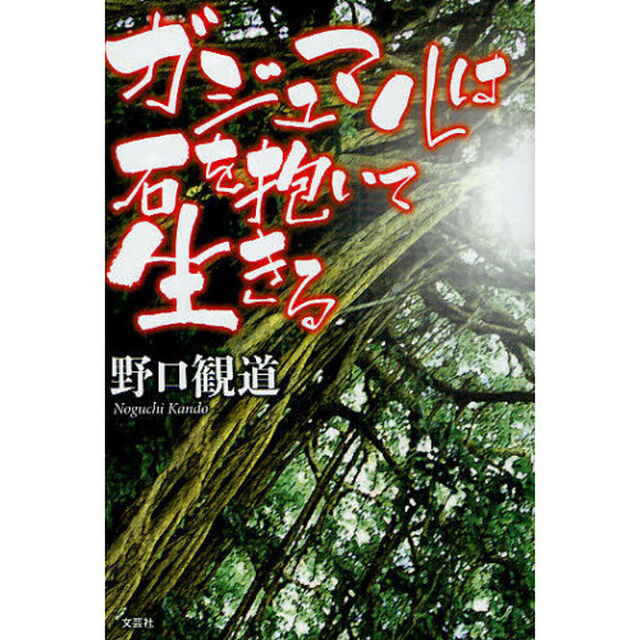 ガジュマルは石を抱いて生きる