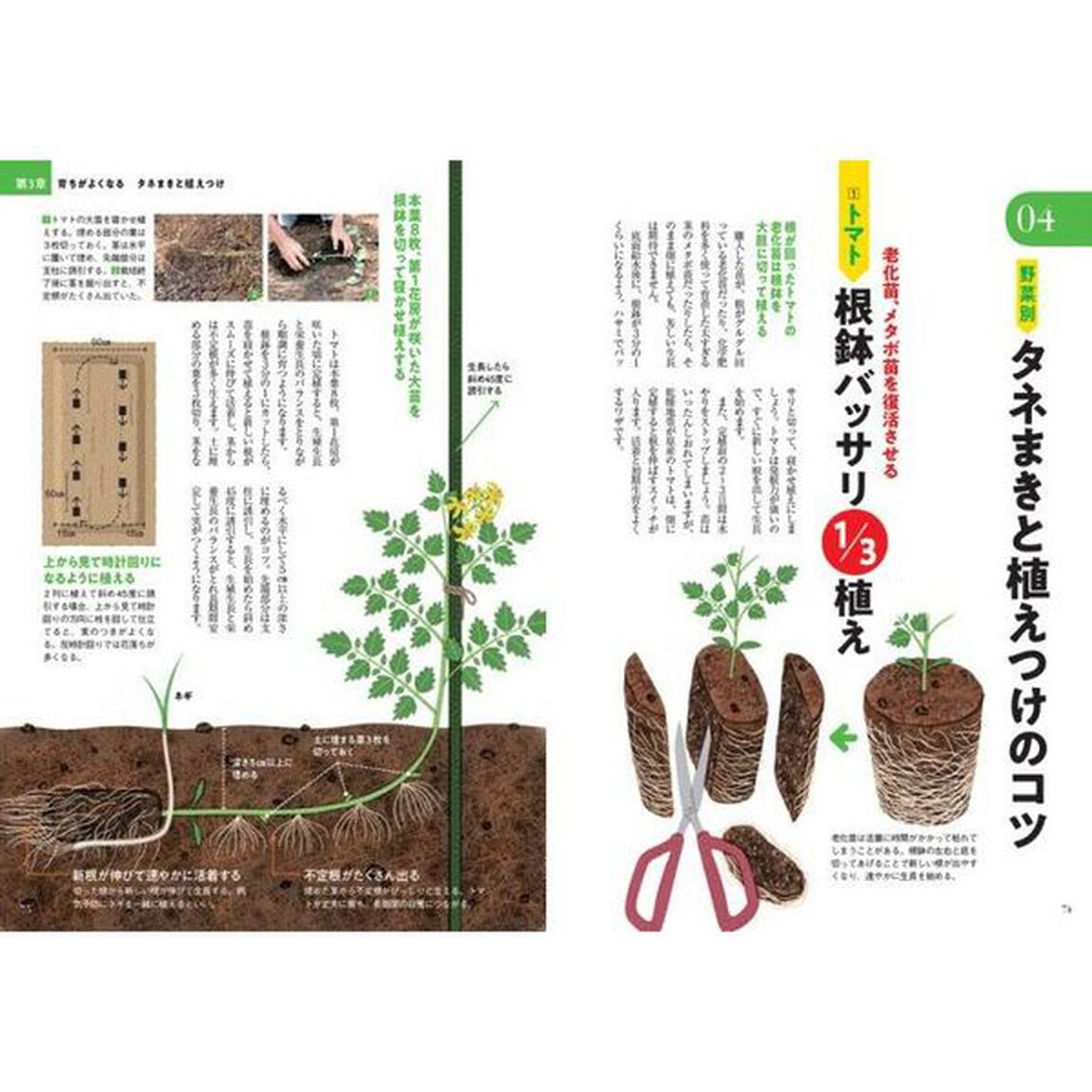 図解土づくりタネまき植えつけ　おいしい野菜は始め方で決まる！