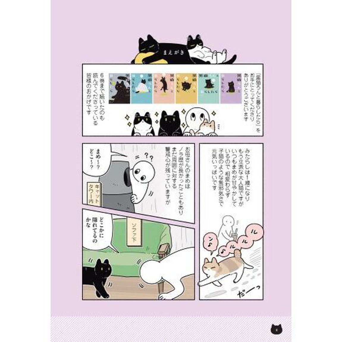 黒猫ろんと暮らしたら　６