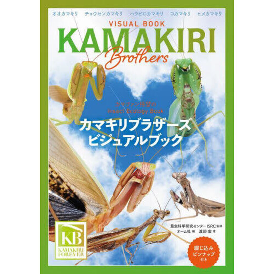 カマキリブラザーズビジュアルブック　Ｉｎｓｅｃｔ　Ｅｃｏｌｏｇｙ　Ｂｏｏｋ