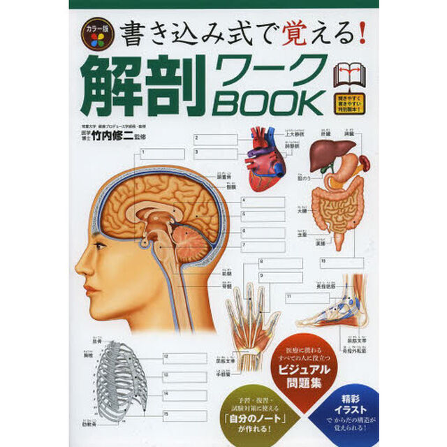 書き込み式で覚える！解剖ワークＢＯＯＫ　カラー版