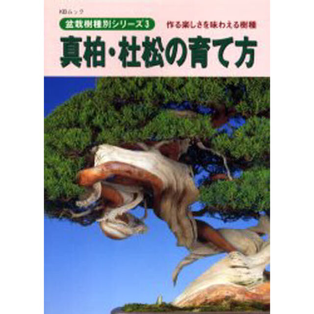真柏・杜松の育て方