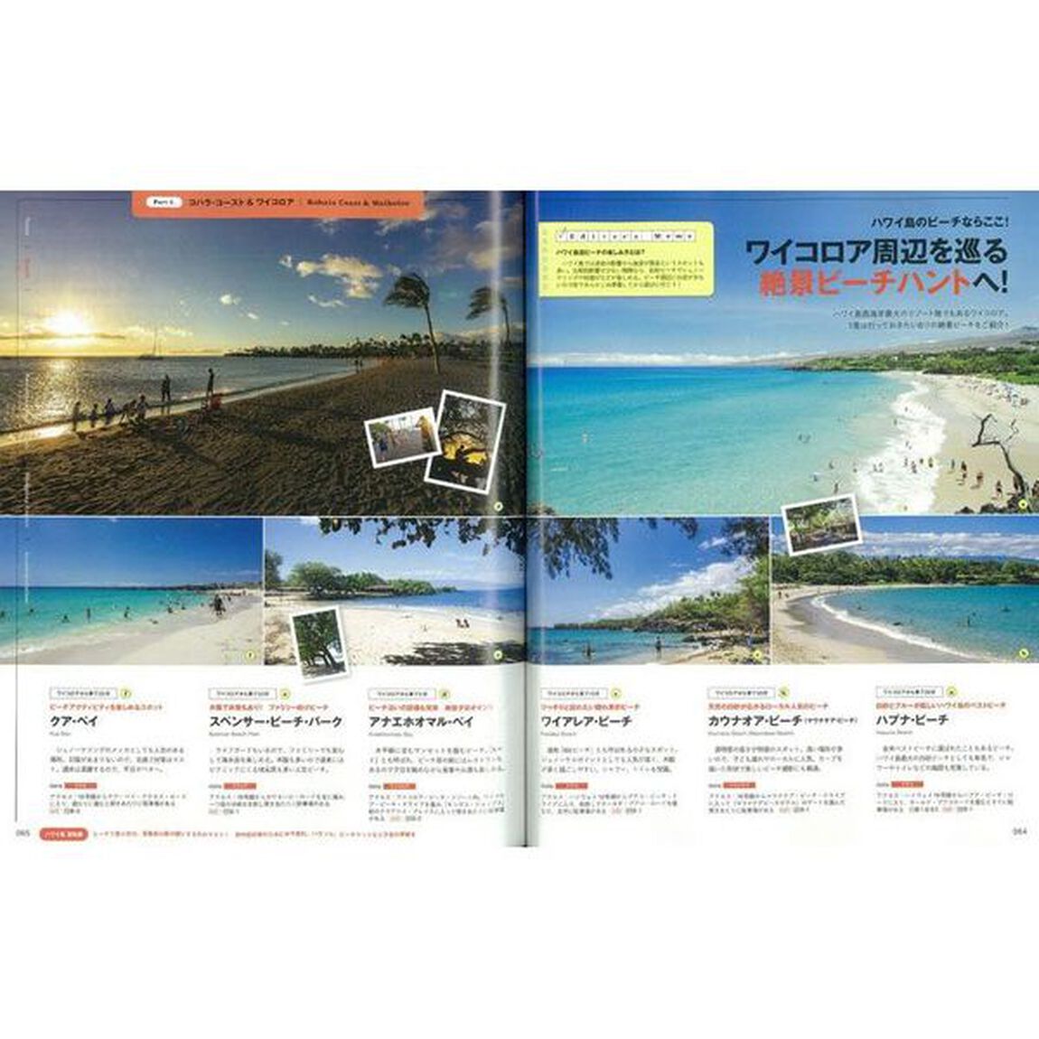 １冊丸ごとハワイ島　ビッグアイランドのすべてがわかる必携本！「決定版」