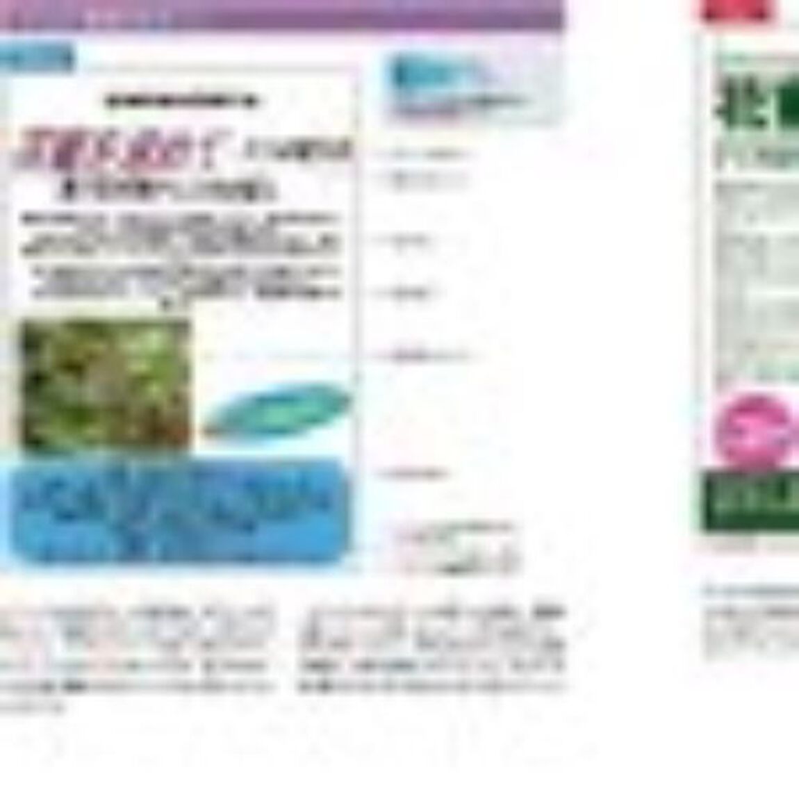 伝わるデザインの基本 増補改訂版 よい資料を作るためのレイアウトのルール「増補改訂版」