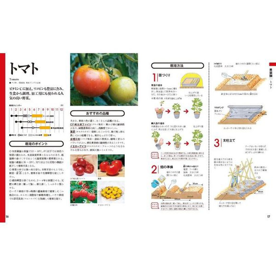 野菜づくり大百科　決定版