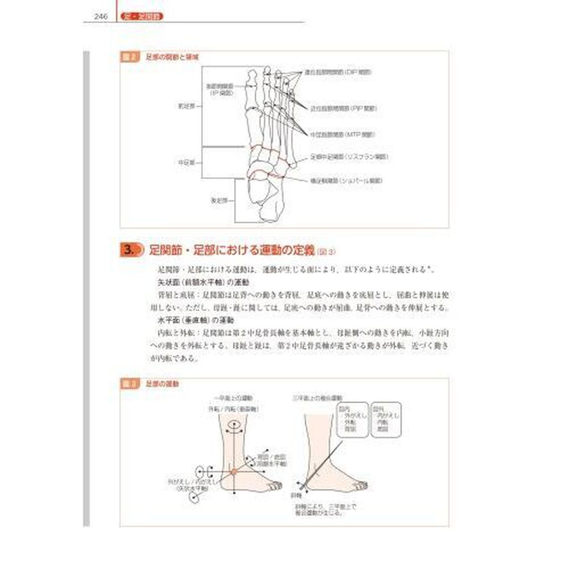 ＰＴ・ＯＴのための運動学テキスト　基礎・実習・臨床「補訂２版」