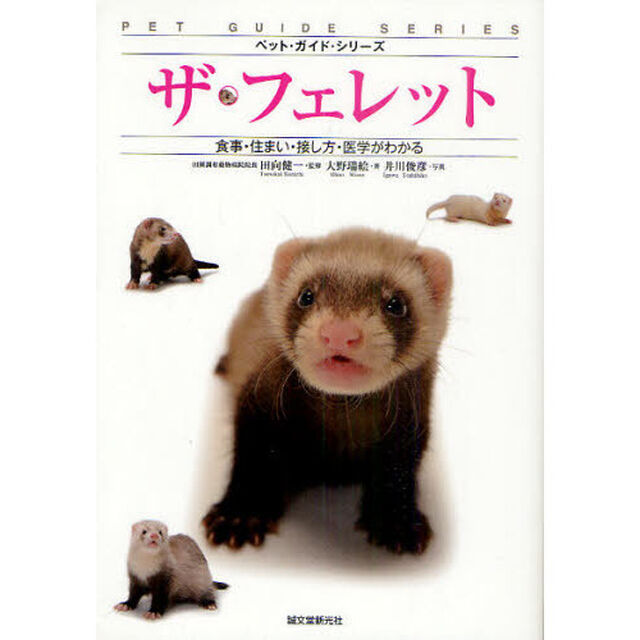 ザ・フェレット　食事・住まい・接し方・医学がわかる