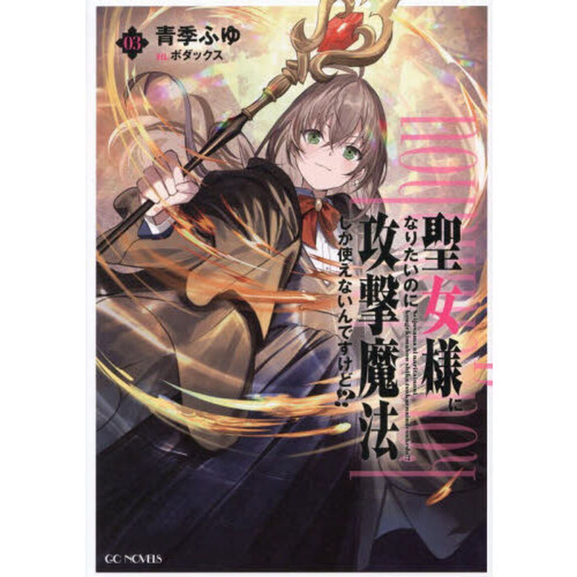 聖女様になりたいのに攻撃魔法しか使えないんですけど！？ 3
