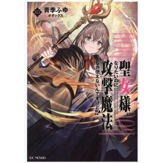 聖女様になりたいのに攻撃魔法しか使えないんですけど！？ 3