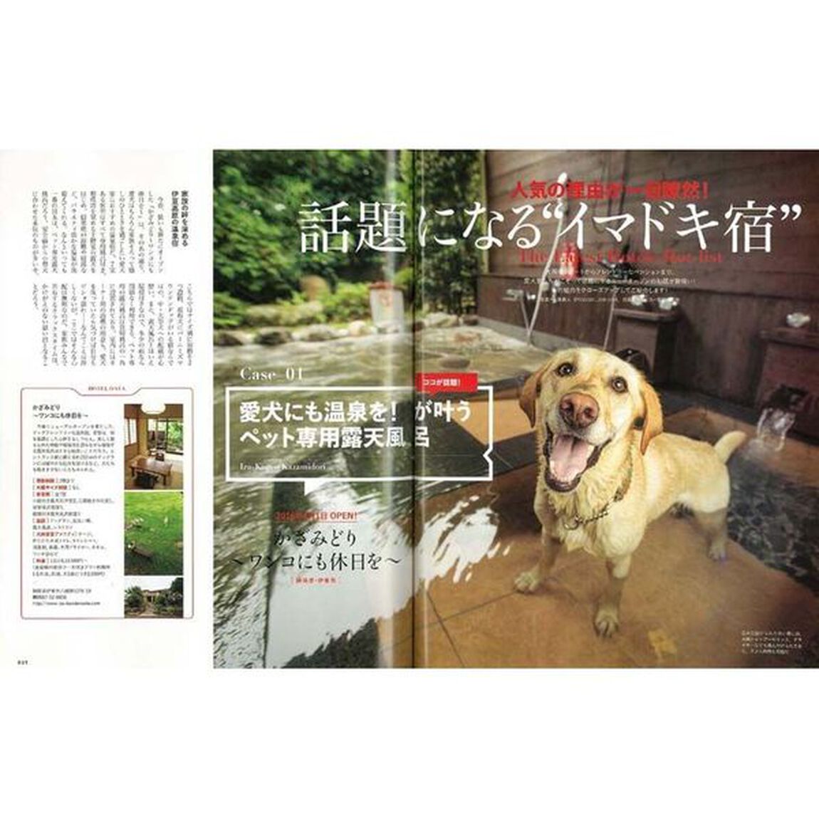 犬連れ宿完全ガイド　日本全国からとっておきの宿を厳選紹介　２０１６－２０１７「犬も飼い主も満たされる、極上ステイガイドの決定版！」